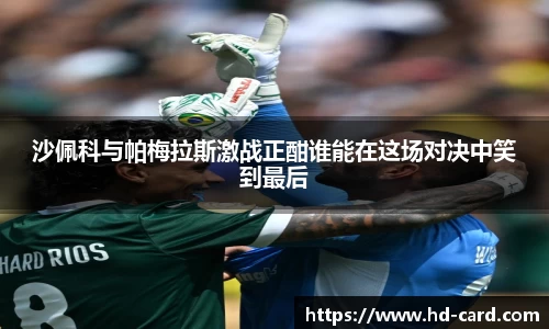 welcome-球速体育